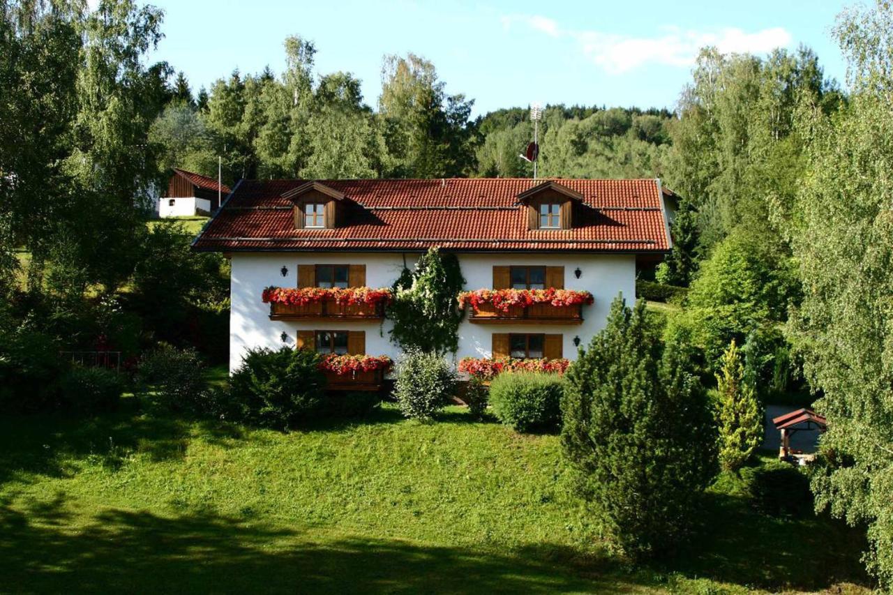 Ferienwohnungen Haus "Wildschuetz" Frauenau Kültér fotó