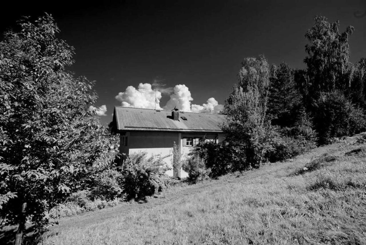 Ferienwohnungen Haus "Wildschuetz" Frauenau Kültér fotó