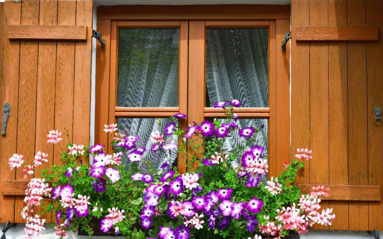 Ferienwohnungen Haus "Wildschuetz" Frauenau Kültér fotó